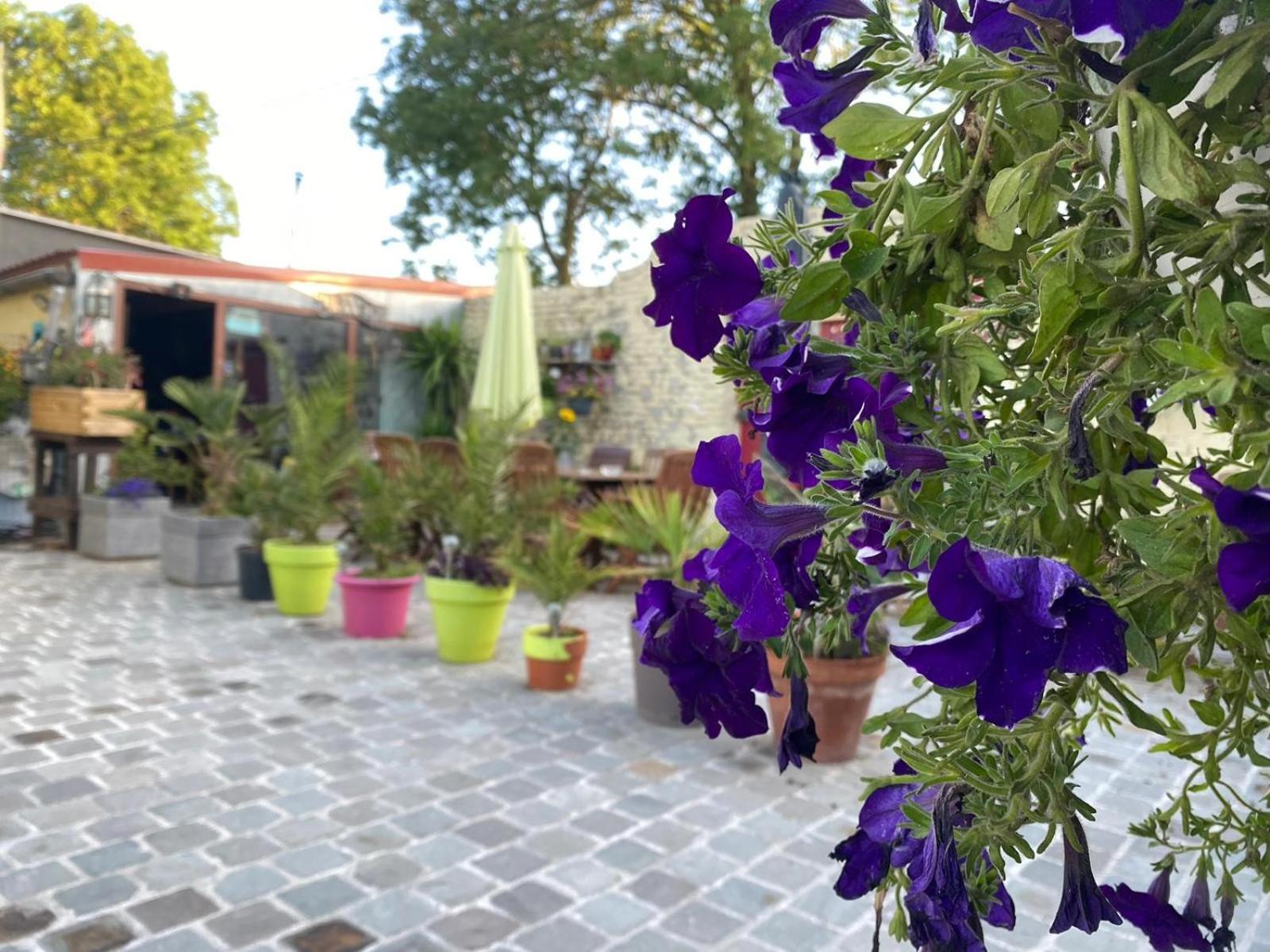 Pensjonat Le Relais De La Posterie Gembloux Zewnętrze zdjęcie